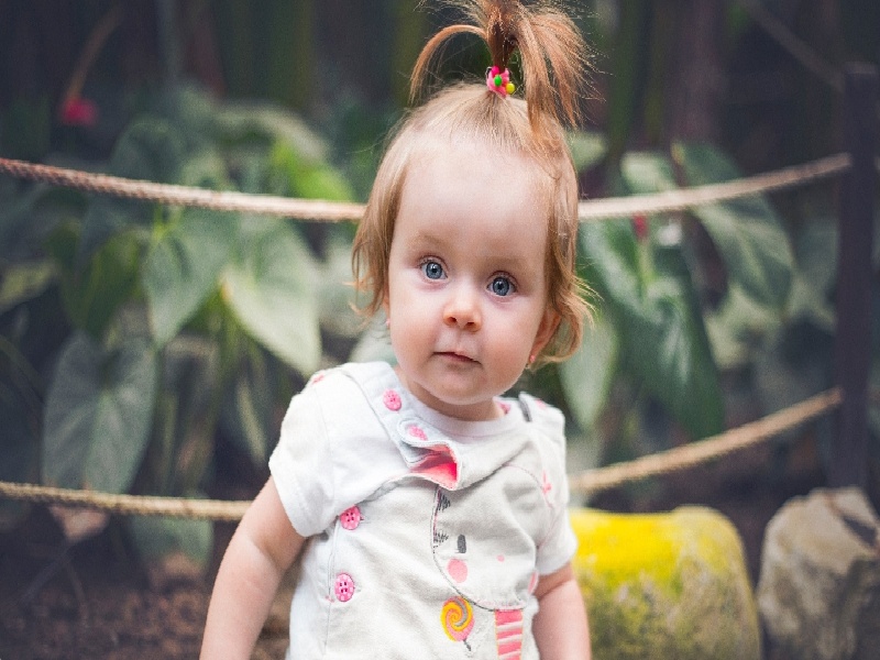 做了试管可以吃青豆,抽过血的试管